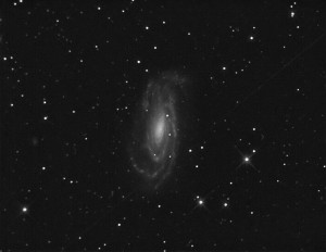 NGC-5033. Obserevatorio Astronomico El Maestrat cod. J19 Felipe Peña