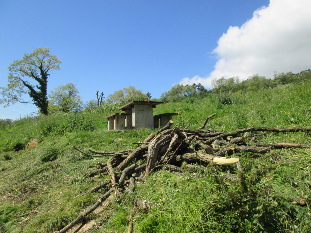 huertas-015