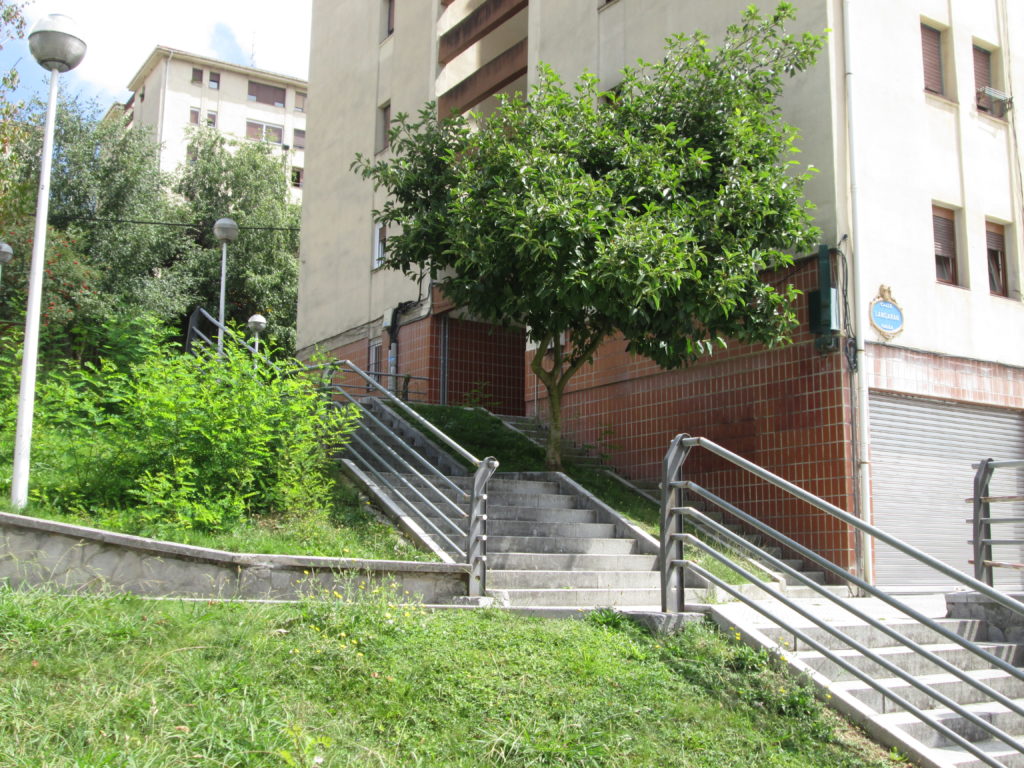 mojon-401
